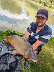 Mirror Carp