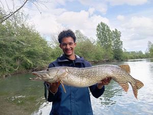 Northern Pike