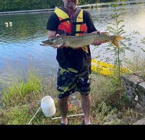 Northern Pike