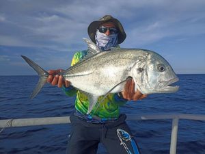 Giant Trevally (GT)
