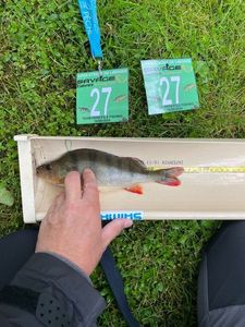 European Perch