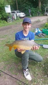 Mirror Carp