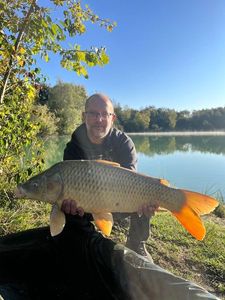Common Carp