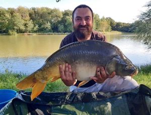 Mirror Carp