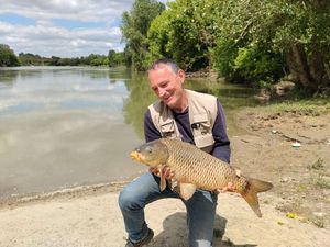 Common Carp