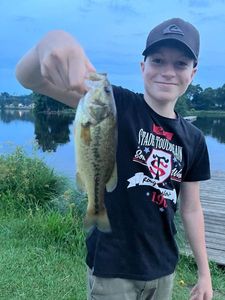 Largemouth Bass