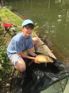 Crucian Carp
