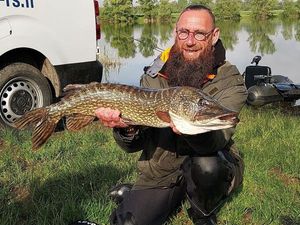 Northern Pike