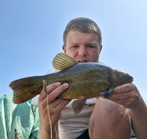 Tench