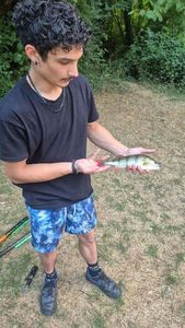 European Perch
