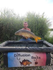 Mirror Carp