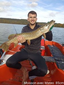 Northern Pike