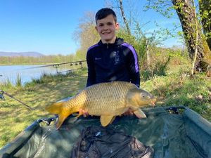 Common Carp