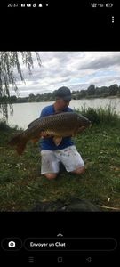 Common Carp