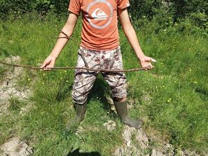 Inconnu (Sheefish)