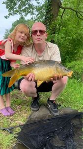 Mirror Carp