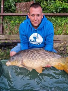 Common Carp