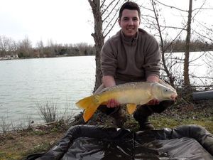 Mirror Carp