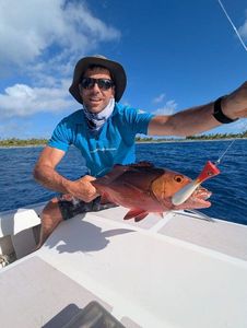 Two-spot Red Snapper