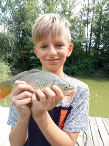 Common Carp