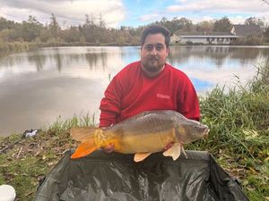 Mirror Carp