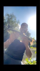 Cutthroat Trout