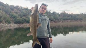 Barbel