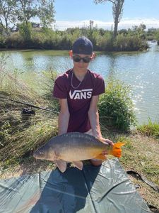 Mirror Carp