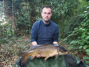 Common Carp