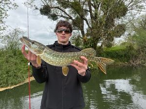 Northern Pike