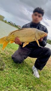 Mirror Carp