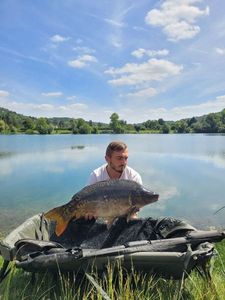 Mirror Carp