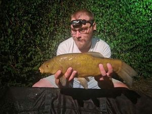 Tench