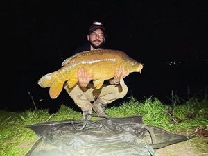 Mirror Carp