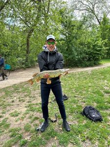 Northern Pike