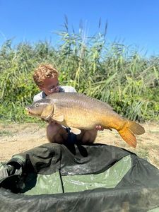 Mirror Carp