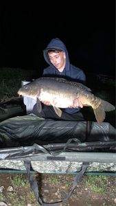Mirror Carp