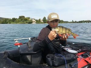 European Perch