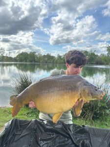 Leather Carp