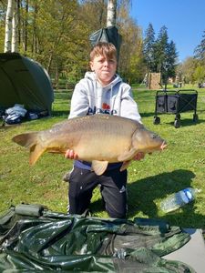 Mirror Carp