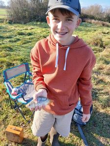 Mirror Carp