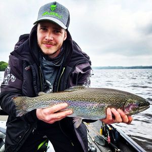 Rainbow Trout