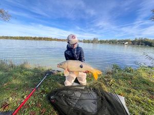Common Carp