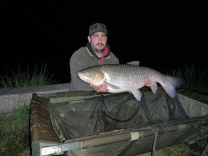 Grass Carp
