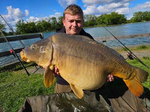Mirror Carp