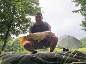 Common Carp