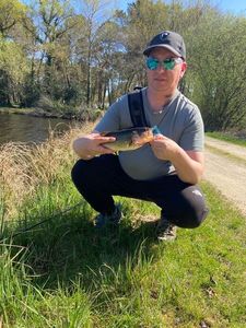 Smallmouth Bass