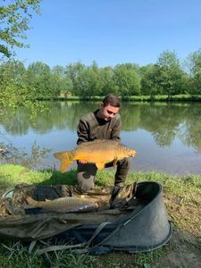 Mirror Carp