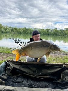 Leather Carp