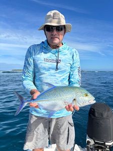 Bluefin Trevally